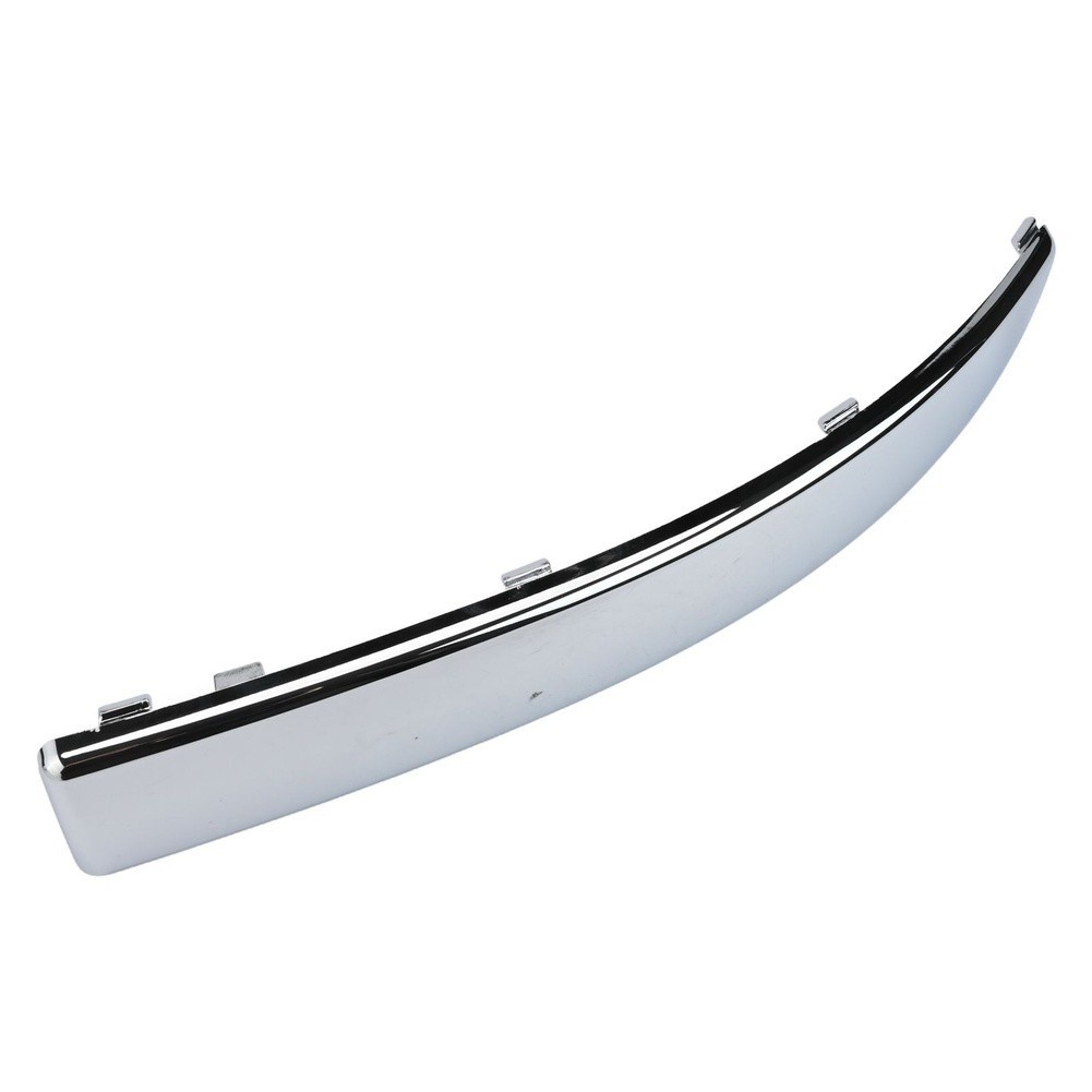 Tira Protectora Plateada para  - Trim Restorer Plastic reseña y precio